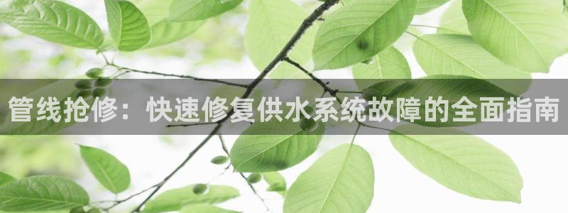 球友会体育app下载安卓手机