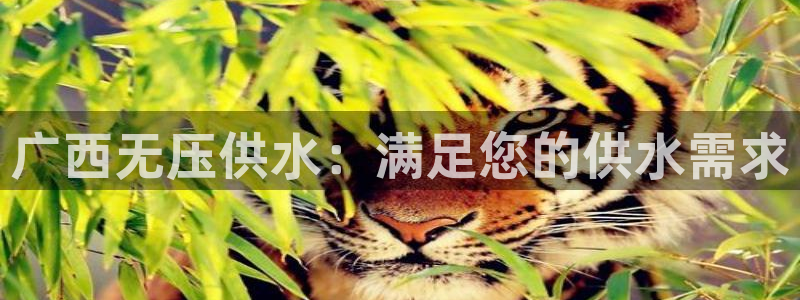 球友会体育app官方版下载安装