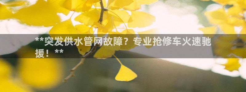 球友会体育app下载安卓最新版