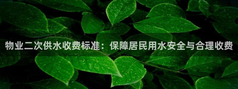 关键词